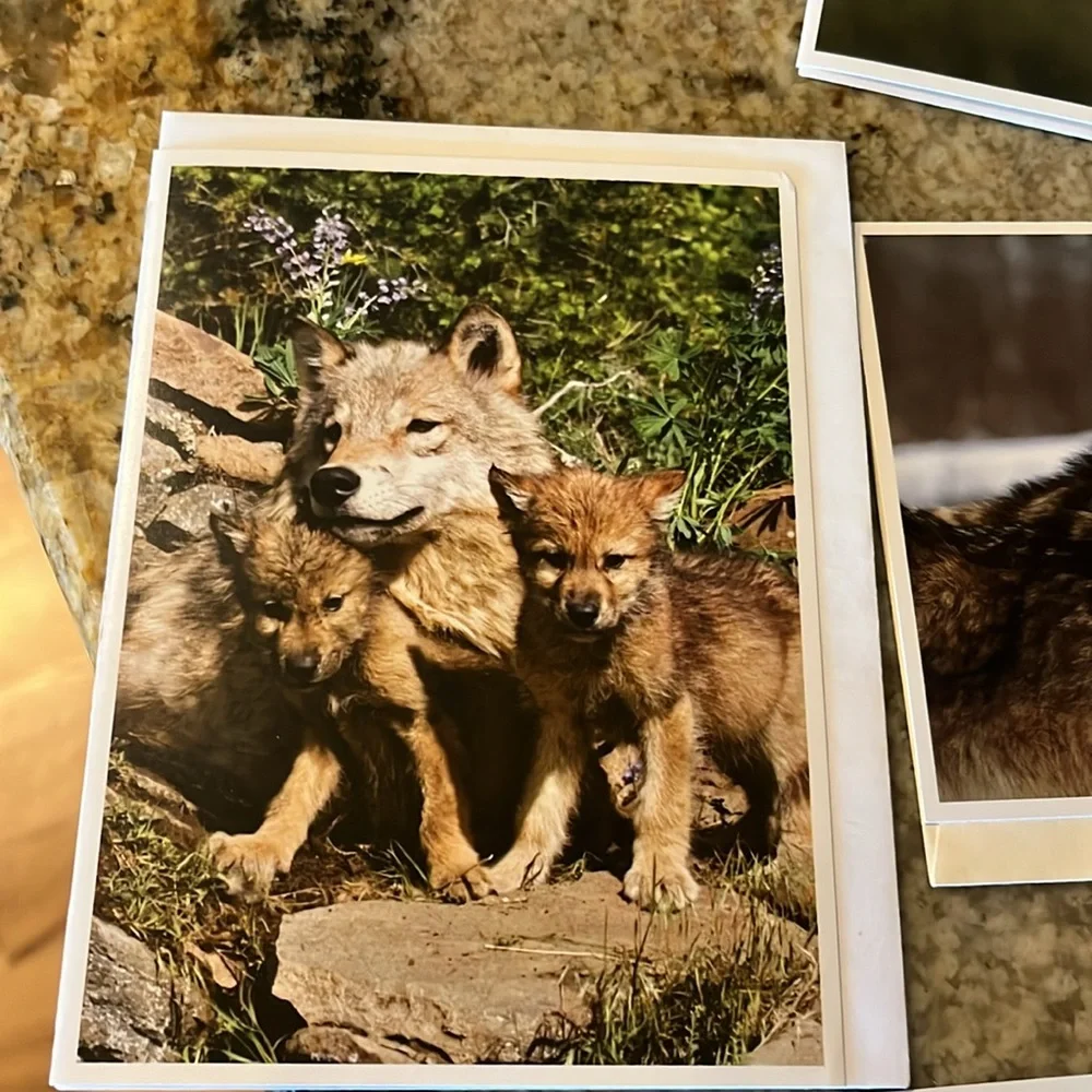 Wolf Themed Greeting Cards Set